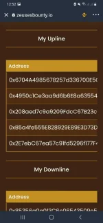 Screenshot_20220106-125209_Trust Wallet.webp