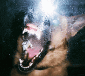 200.gif
