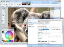 paintdotnet-screenshot-03.webp paintdotnet-screenshot-03.webp