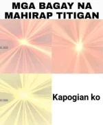 1641646631702.jpg