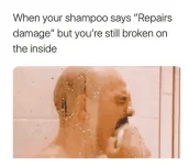 repairs damage.webp