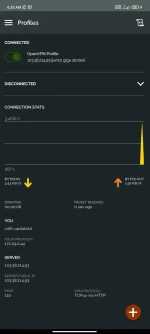 Screenshot_2022-01-11-06-33-05-613_net.openvpn.openvpn.webp