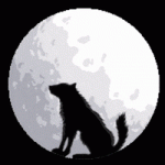 200.gif