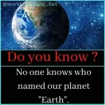 FB_IMG_16419699832170794.webp