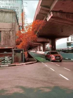 Screenshot_2022-01-13-08-37-18-21.webp