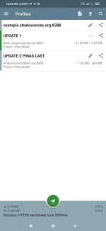 Screenshot_2022-01-14-10-34-29-469_com.github.shadowsocks.webp
