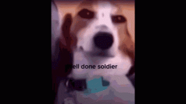 well-done-soldier-well-done-soldier-meme.gif