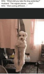 1642387922763.webp