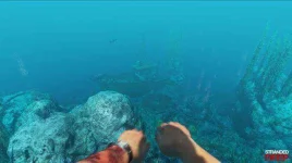 Stranded-Deep-PC-*****.jpg Stranded-Deep-PC-*****.jpg