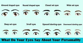 what-does-the-shape-and-size-of-your-eyes-say-about-your-personality-.webp what-does-the-shape-and-size-of-your-eyes-say-about-your-personality-.webp
