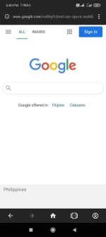 Screenshot_2022-01-18-18-00-50-683_com.opera.browser.webp
