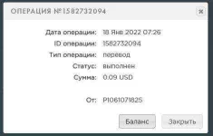 bigtraf-withdrawal-payeer.webp