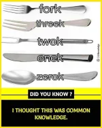 cbfe802a8c02f396b839ef34f05be967.webp