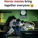 FB_IMG_1553515904679.webp