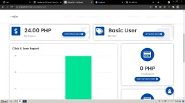 ads1.webp