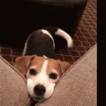 200.gif