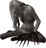 1642827476120.webp