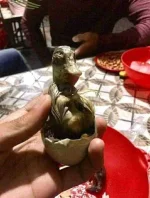 Ang sabi ko balut hindi pokemon.webp