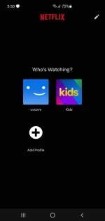 Screenshot_20220122-175046_Netflix.webp