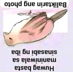 Untitled.webp