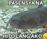594f2f8f21172386a3ef292e3d321a94.webp