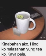 kaya pala.webp kaya pala.webp