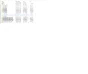 155.webp