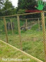 images.webp