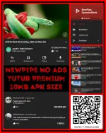 47386.webp 47386.webp