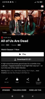 Screenshot_2022-01-28-16-05-23-612_com.netflix.mediaclient.webp
