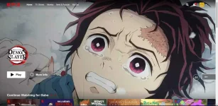 FE1.jpg