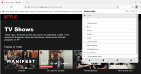 netflixx.webp