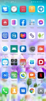 Screenshot_20220130_175352_com.huawei.android.launcher.webp