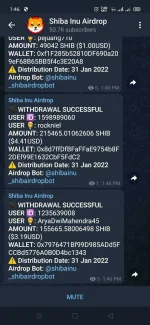 Screenshot_2022-01-31-13-46-55-36.webp