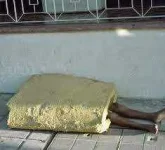 Bakit dun nyo naman nilagay si Spongebob.webp
