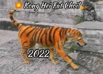 Kong Hei Fat Choi.webp