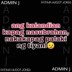 landi landi.webp