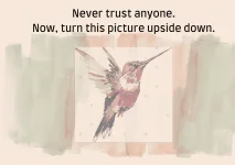 Never trust anyone. Now, turn this picture upside down..webp