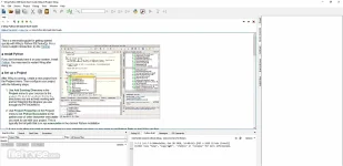 wing-ide-screenshot-01.webp