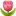 1f337.webp 1f337.webp