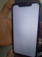 received_269417661941713.webp received_269417661941713.webp