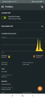 Screenshot_2022-02-04-07-02-29-745_net.openvpn.openvpn.jpg