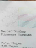 16439525342796727824350245970019.webp