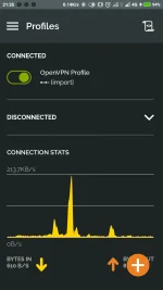 Screenshot_2022-02-04-21-35-31-747_net.openvpn.openvpn.webp