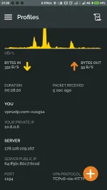 Screenshot_2022-02-04-21-35-40-647_net.openvpn.openvpn.webp