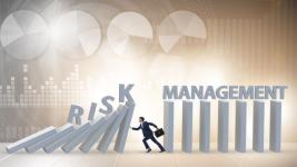 ris-management-skillsb.jpg