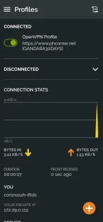 Screenshot_20220206-101449_OpenVPN Connect.webp