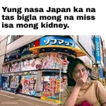 1644119265906.webp