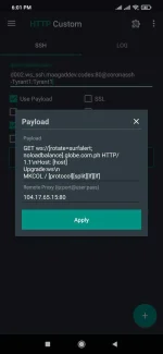 Screenshot_2022-02-06-18-01-44-690_xyz.easypro.httpcustom.jpg