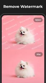 kjnk08.jpg kjnk08.jpg